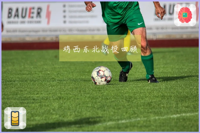 鸡西东北战役回顾